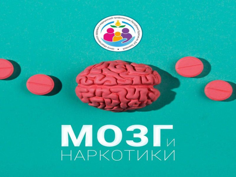 Профилактика.